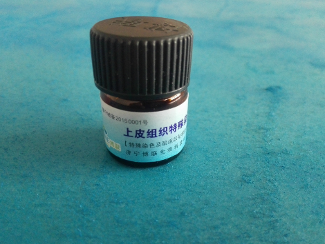 上皮组织特殊染色液